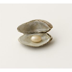 Rice Pearl in Oyster 5