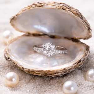 Mystery jewellery oyster